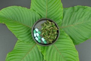 Kratom Colours and Characteristics: Examining the Many Strains More Closely