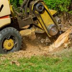 Enhancing Property Maintenance Plans through Thorough Stump Elimination Work