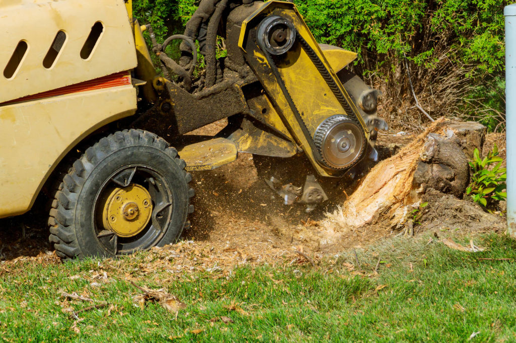 Enhancing Property Maintenance Plans through Thorough Stump Elimination Work