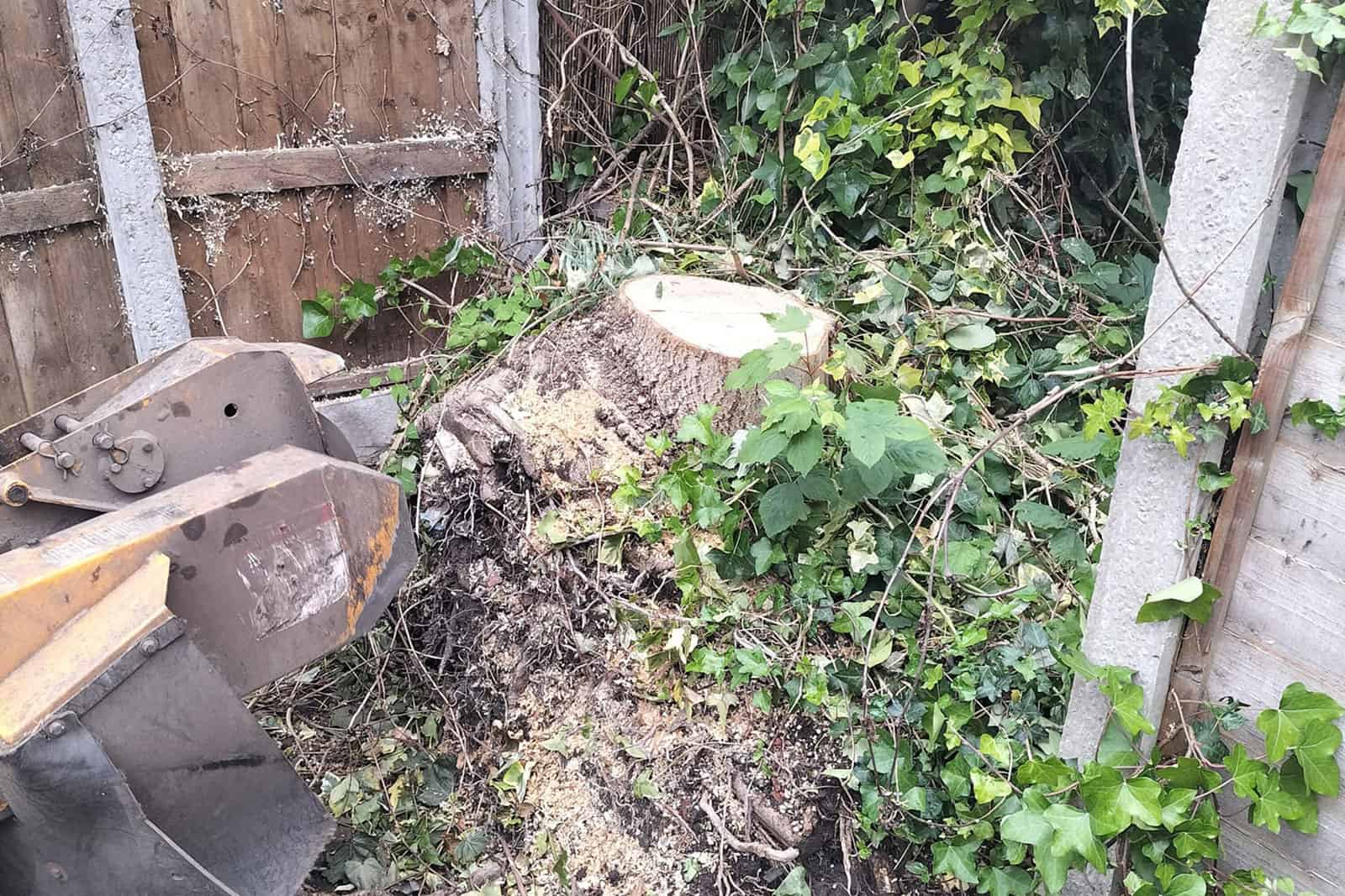 Stump Grinding Manchester