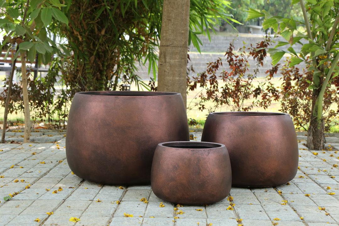 buy plants and pots online